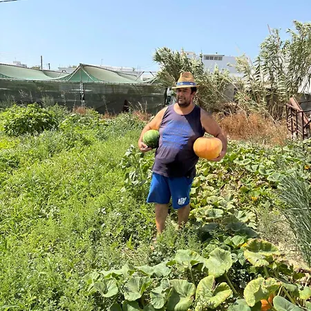 דירה Birikos &