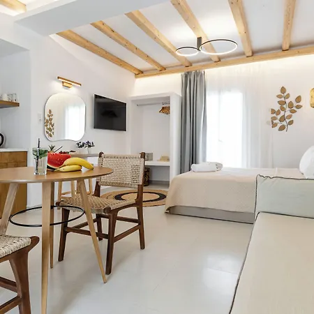 Birikos & Apartment Agios Prokopios (Naxos)