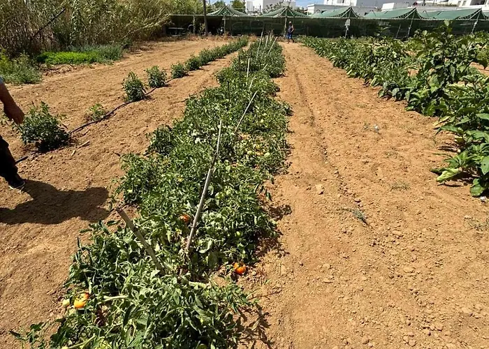 Daire Birikos & Agios Prokopios (Naxos)