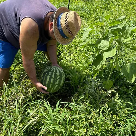Lägenhet Birikos & *