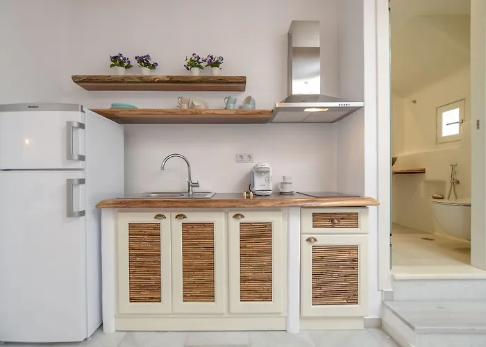 Apartament Birikos & *